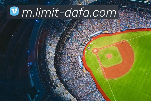 大发官网APP 封面图